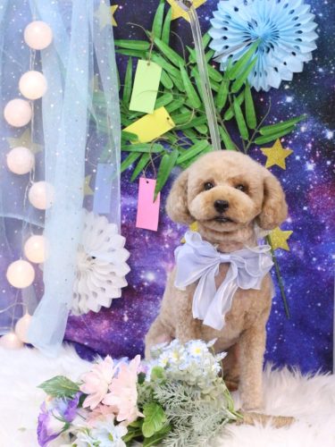 20250704モナカくん